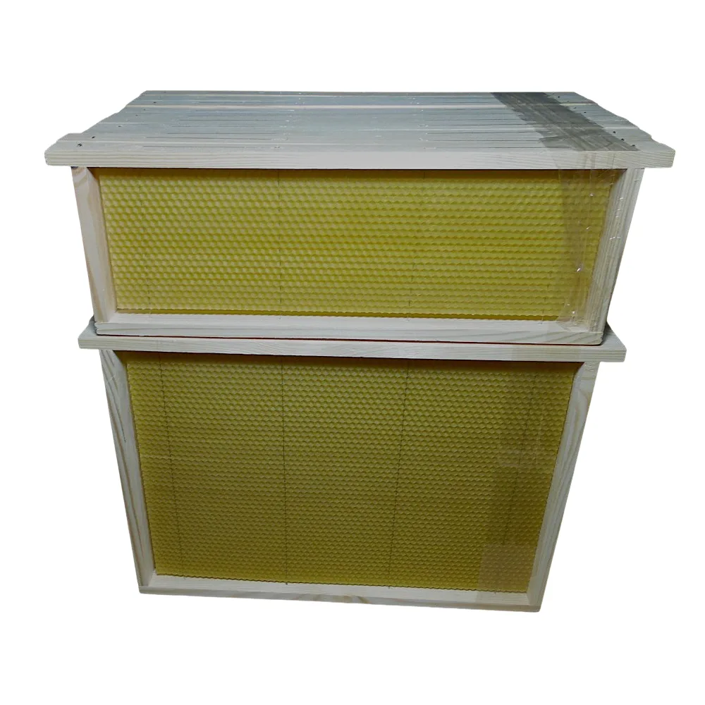 Ramka wielkopolska gniazdowa z węzą - obrazek 2