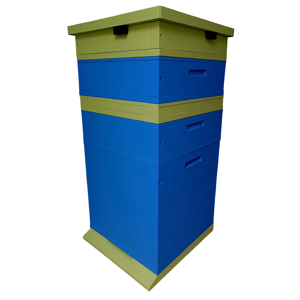 Ul warszawski zwykły 10cio  ramkowy